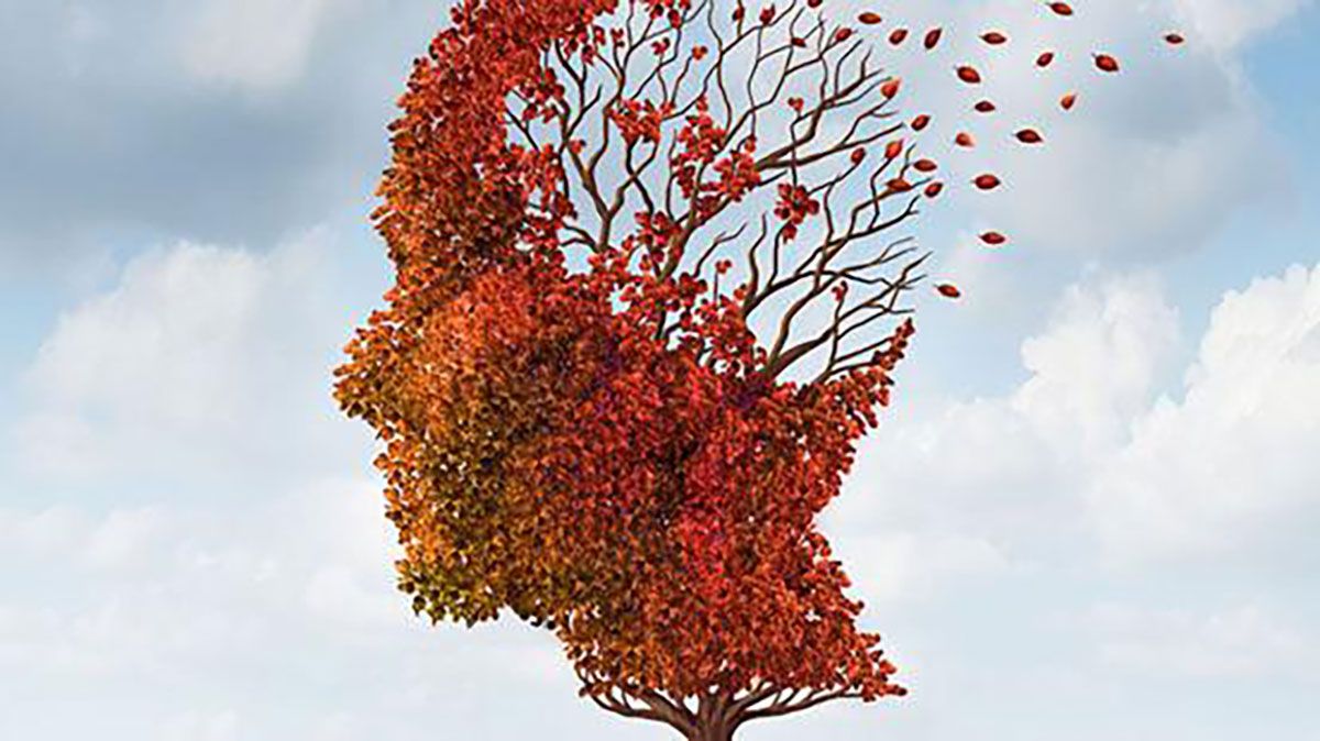 Alzheimer - Bentuk Paling Umum Dari Demensia