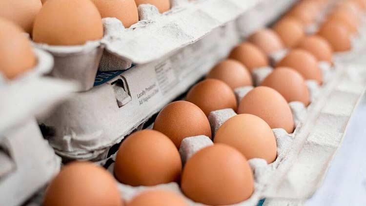 Mitos & Fakta Tentang Telur yang Perlu Anda Ketahui
